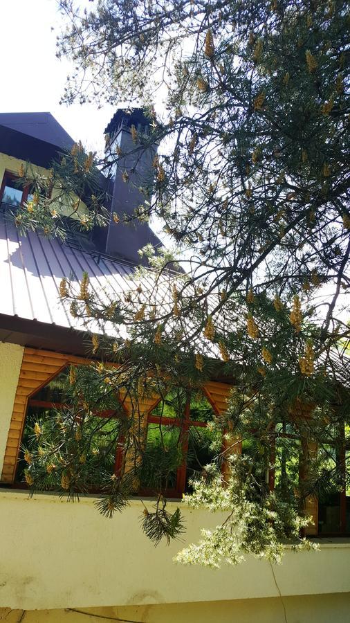 Villa Pandora Mavrovo Esterno foto